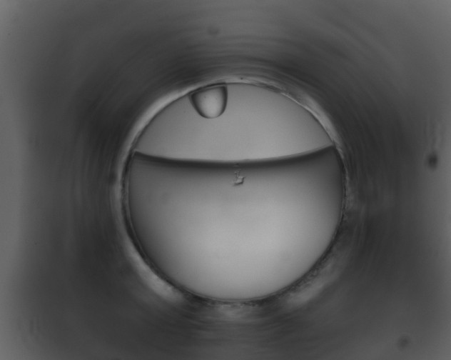 X0000101970803200807180725