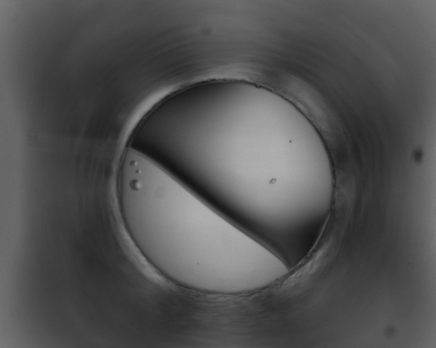 X0000101970804200807180725
