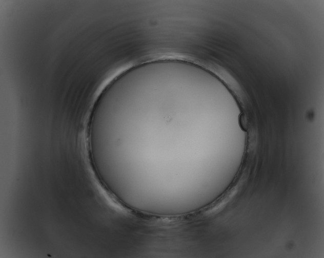 X0000101970806200807180725