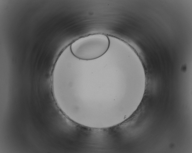 X0000101970807200807180725