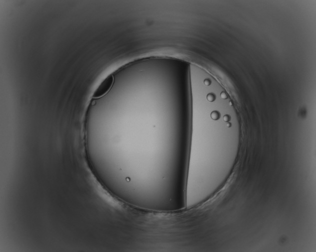 X0000101970808200807180725