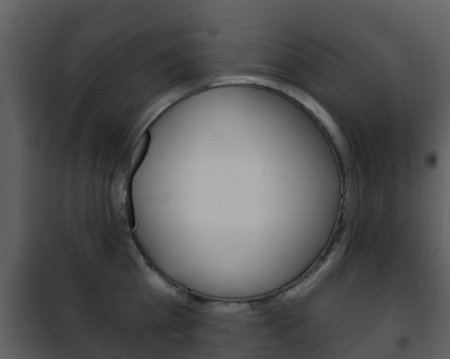 X0000101970809200807180725