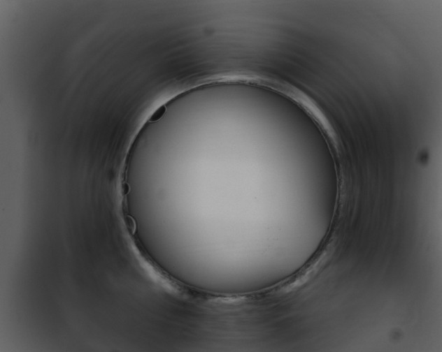 X0000101970810200807180725
