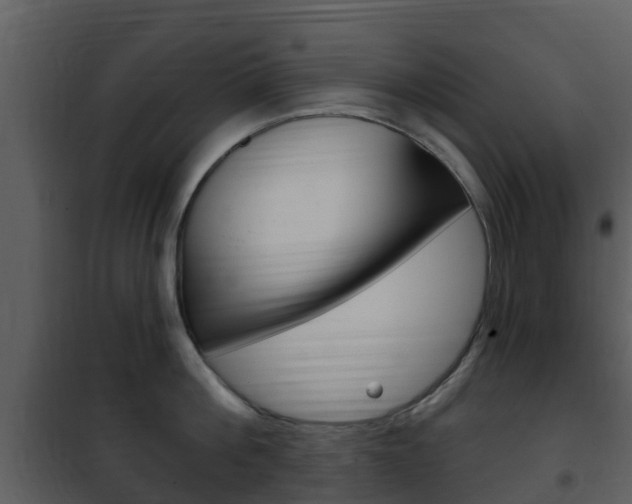 X0000101970812200807180725