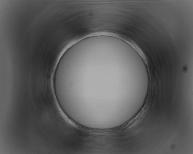 X0000101970813200807180725