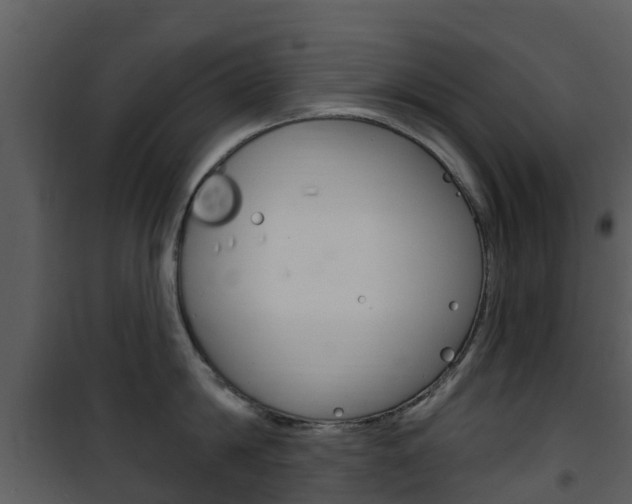 X0000101970814200807180725