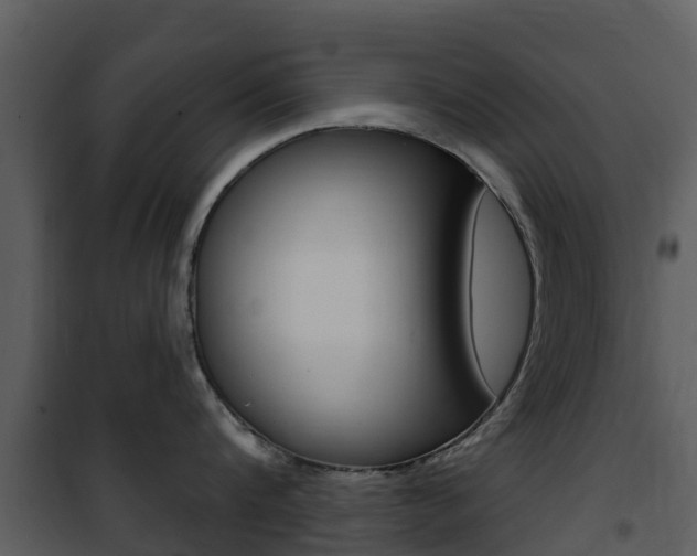 X0000101970816200807180725