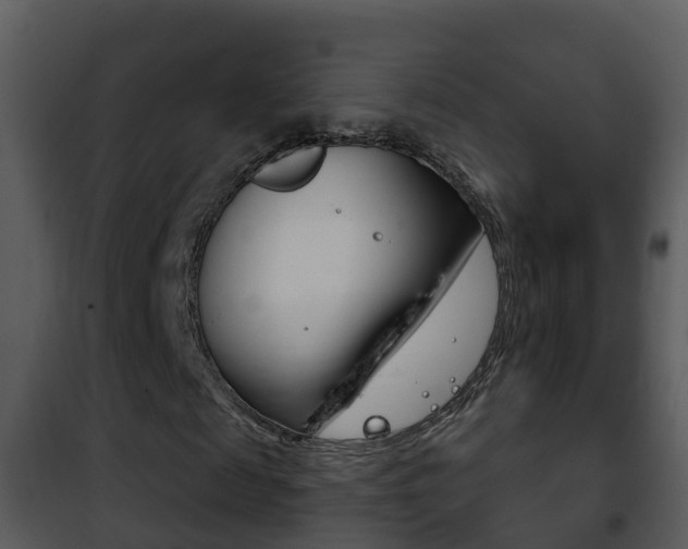 X0000101970817200807180724