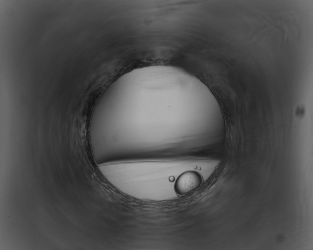 X0000101970818200807180724