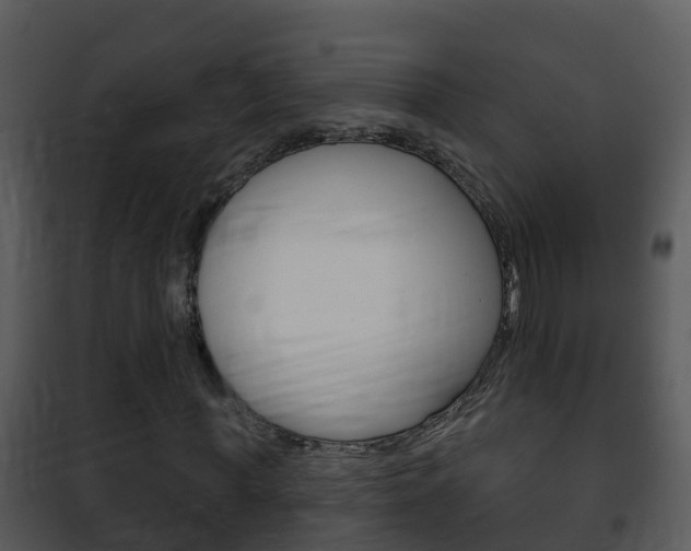 X0000101970819200807180724