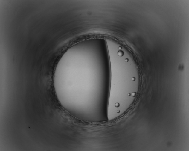 X0000101970821200807180724