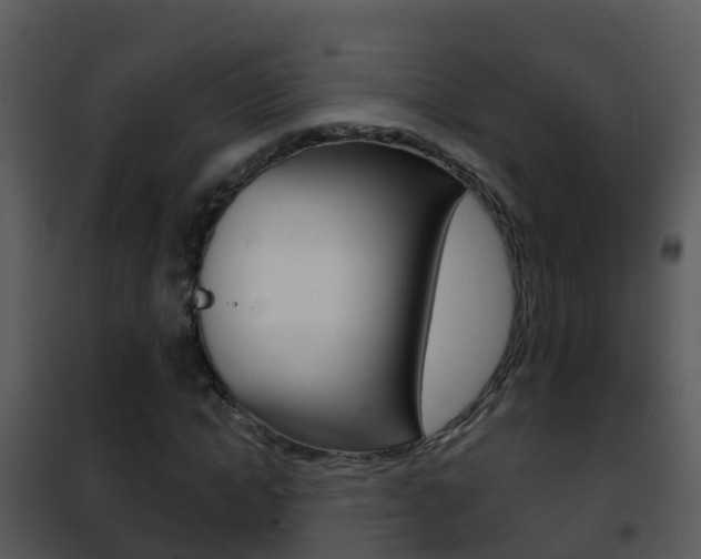 X0000101970822200807180724