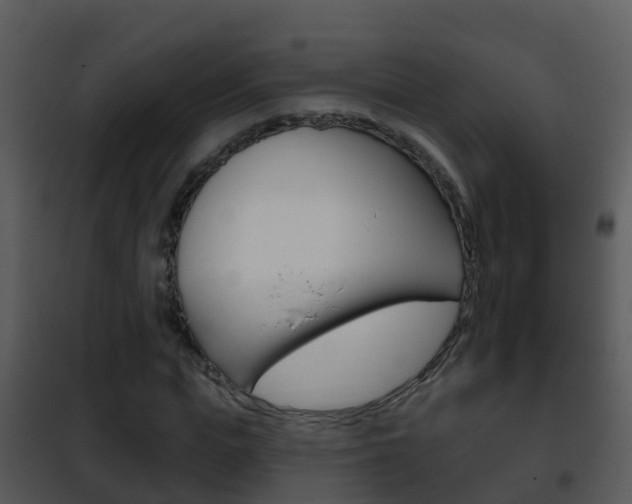 X0000101970823200807180724