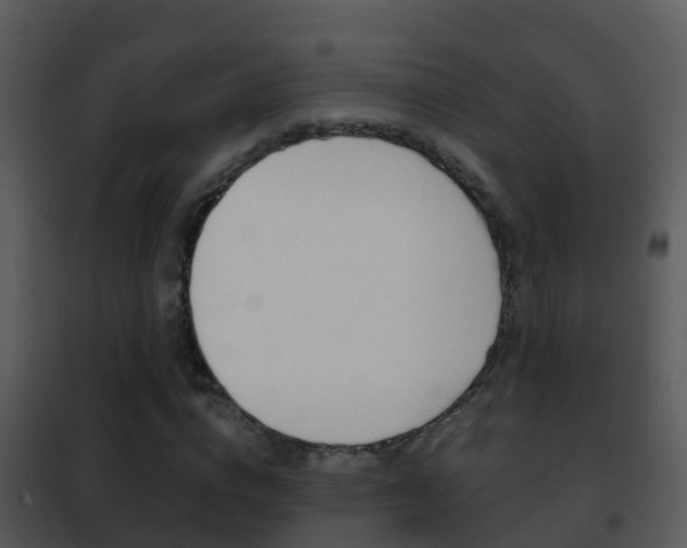 X0000101970824200807180724