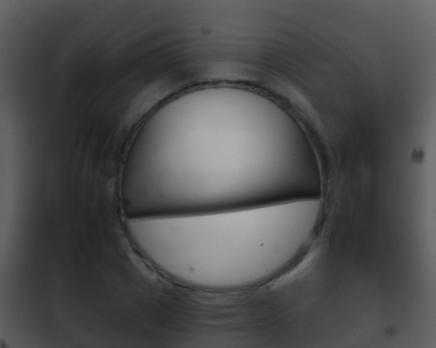 X0000101970833200807180724