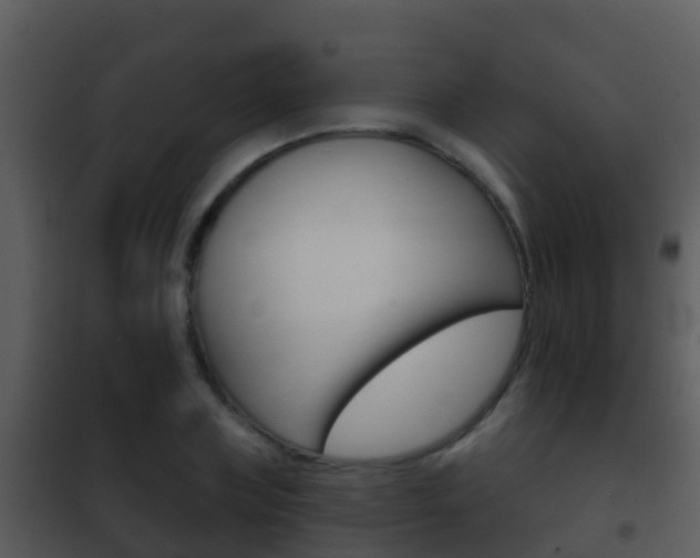 X0000101970835200807180724