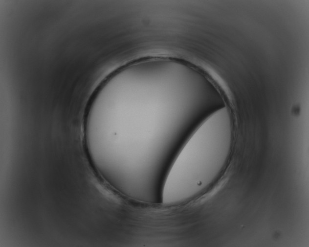 X0000101970837200807180724