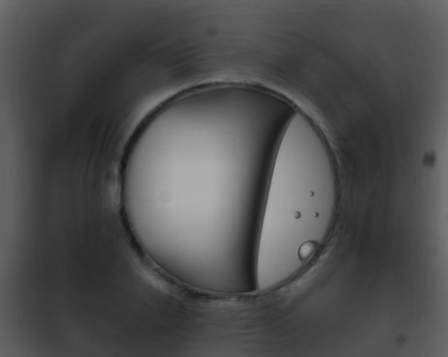 X0000101970838200807180724