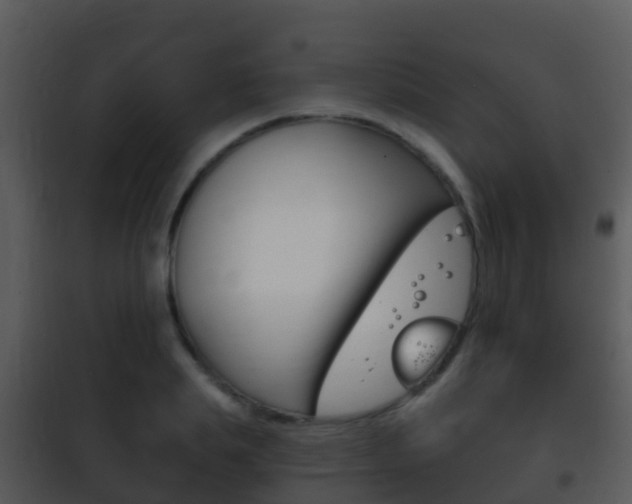 X0000101970839200807180724