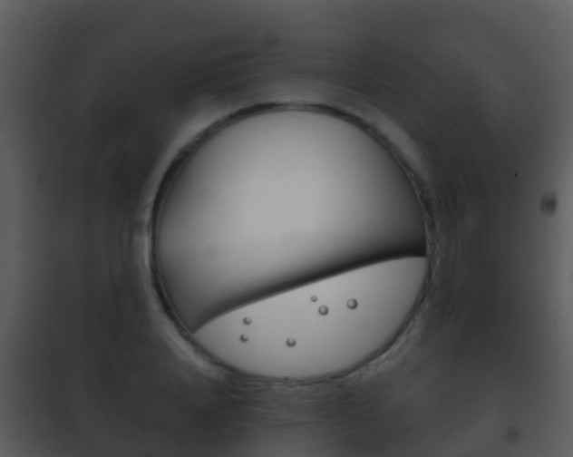X0000101970840200807180724