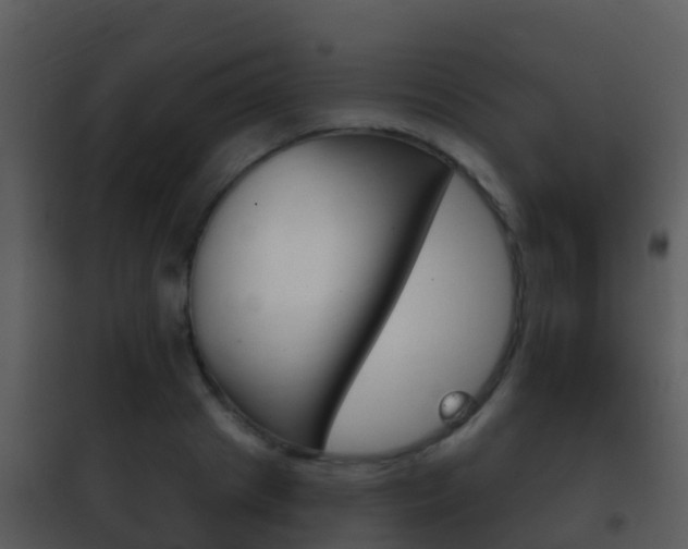X0000101970841200807180724