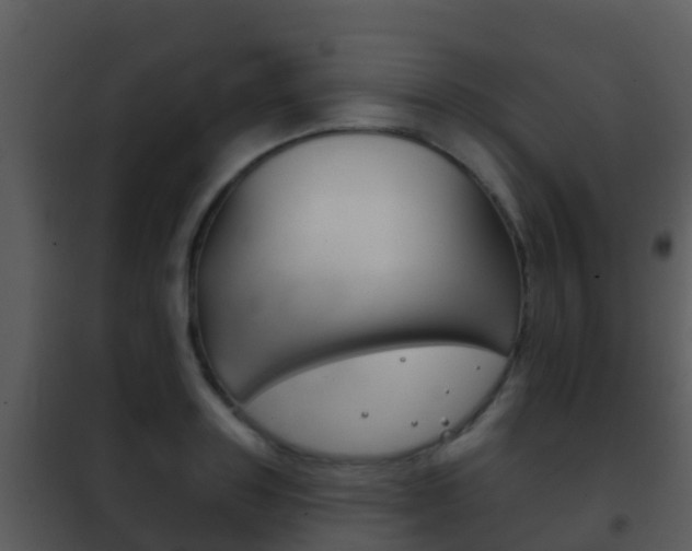 X0000101970843200807180724