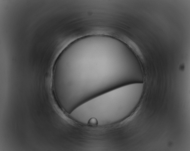 X0000101970844200807180724