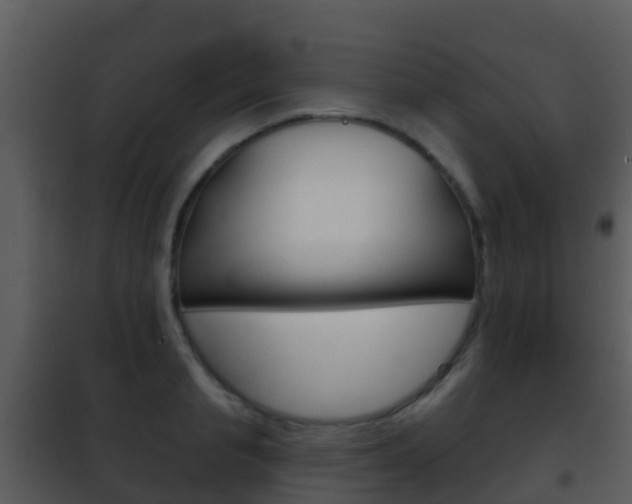 X0000101970845200807180724