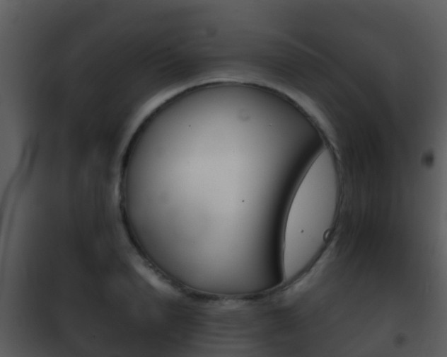 X0000101970846200807180724