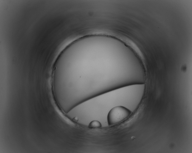X0000101970847200807180724