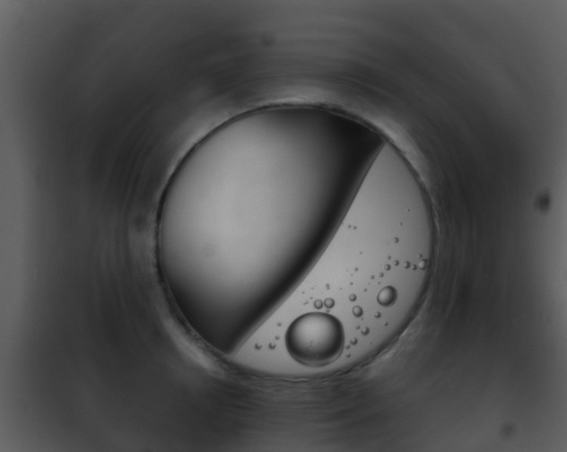 X0000101970850200807180725