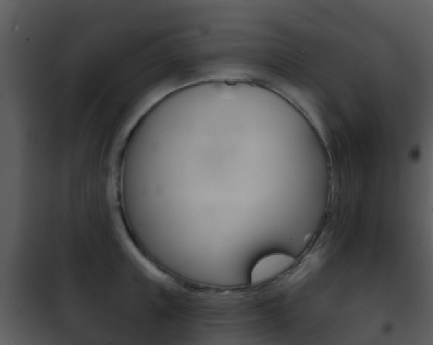 X0000101970851200807180725