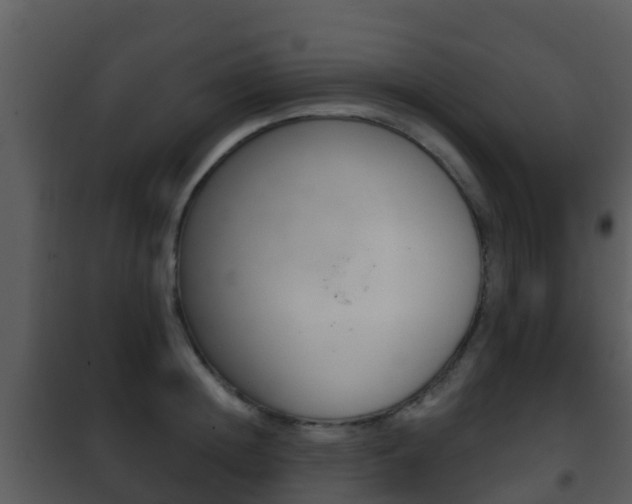 X0000101970852200807180725
