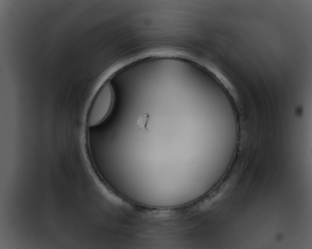 X0000101970853200807180725
