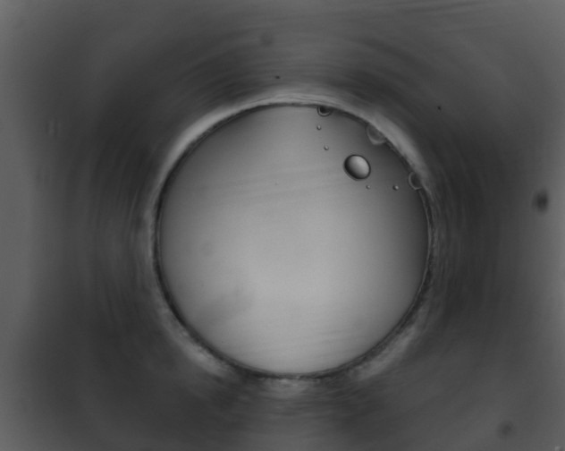X0000101970854200807180725