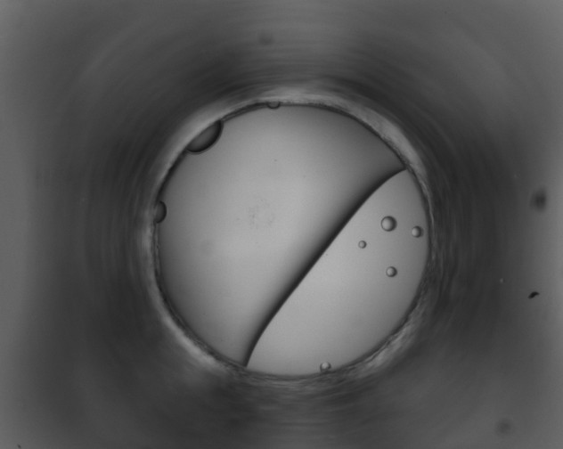 X0000101970855200807180725