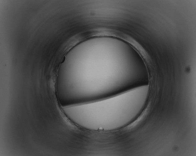 X0000101970857200807180725