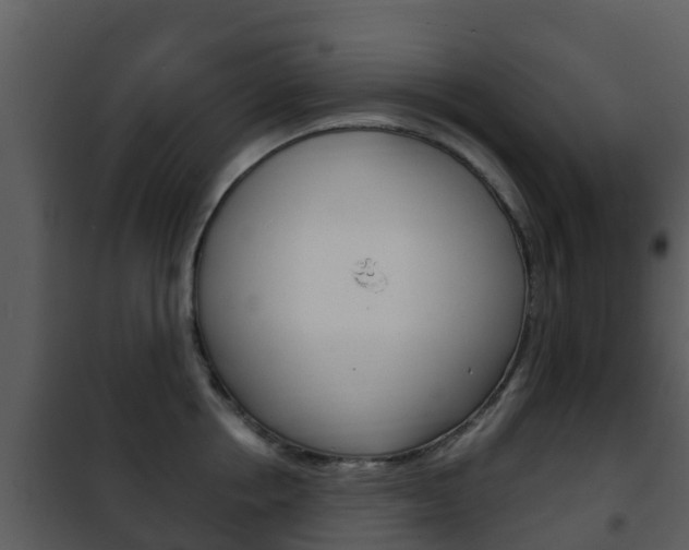 X0000101970858200807180725