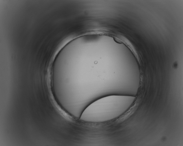X0000101970859200807180725