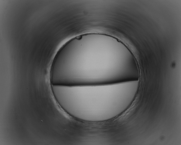X0000101970862200807180725