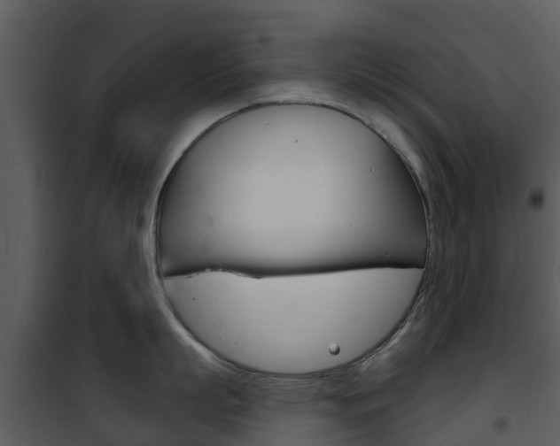 X0000101970863200807180725