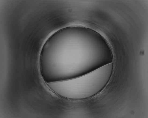 X0000101970864200807180725