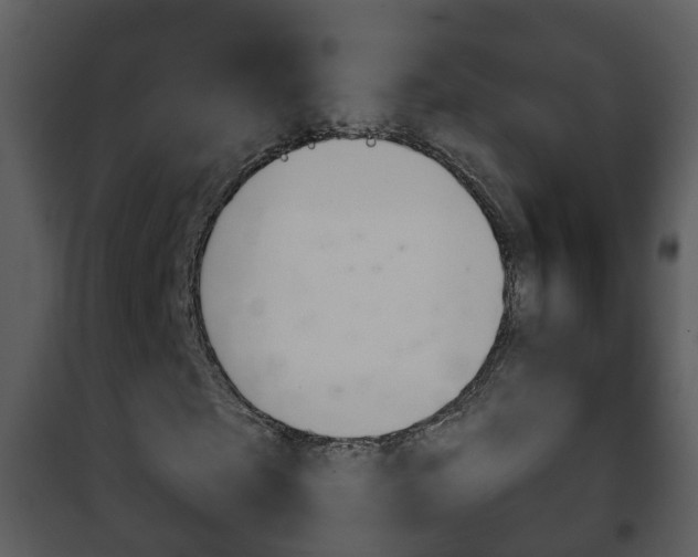 X0000101970865200807180724