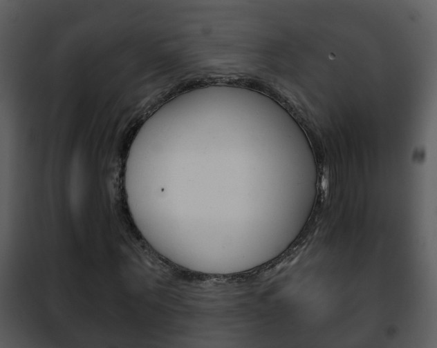 X0000101970867200807180724