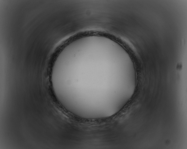 X0000101970872200807180724