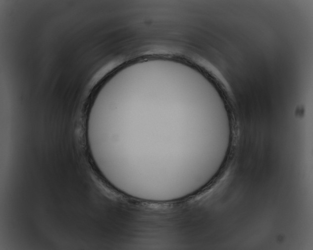 X0000101970874200807180724