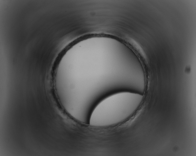 X0000101970876200807180724