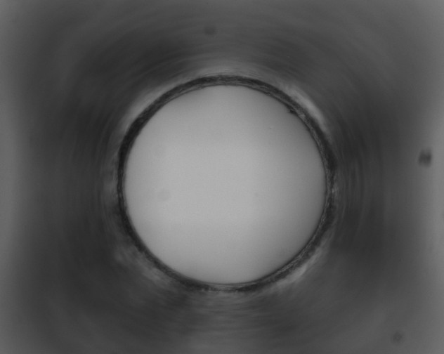 X0000101970877200807180724