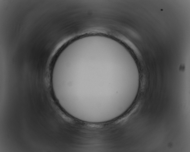 X0000101970878200807180724
