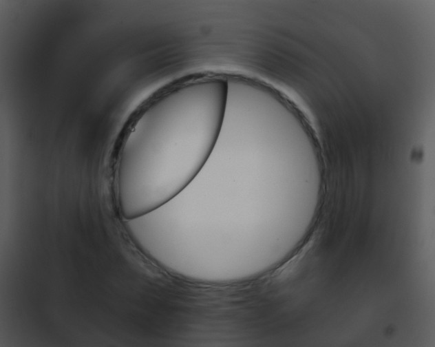 X0000101970879200807180724